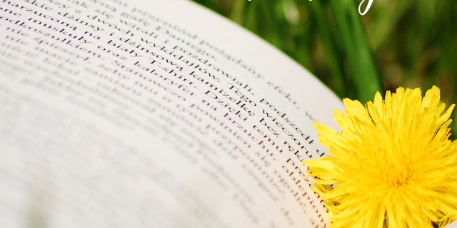 Kathi Koll Foundation - Gift of Reading