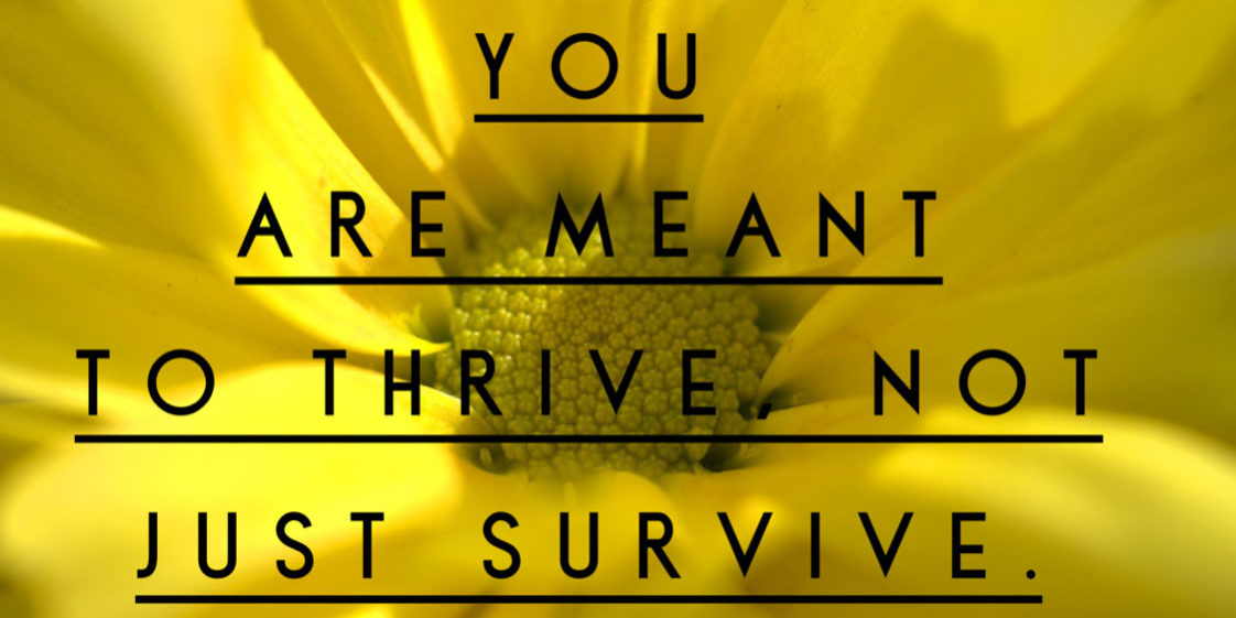 Kathi Koll Foundation - You Are Meant To Thrive Not Just Survive