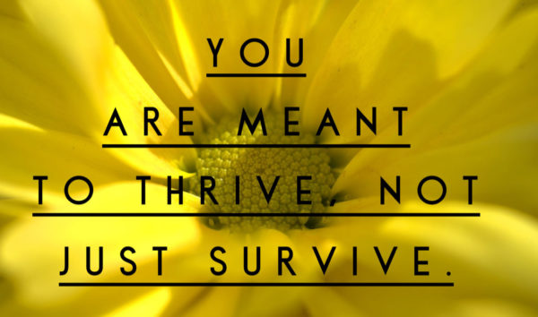 Kathi Koll Foundation - You Are Meant To Thrive Not Just Survive