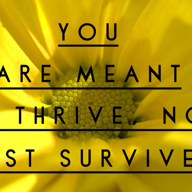 Kathi Koll Foundation - You Are Meant To Thrive Not Just Survive