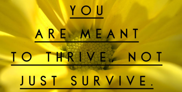 Kathi Koll Foundation - You Are Meant To Thrive Not Just Survive