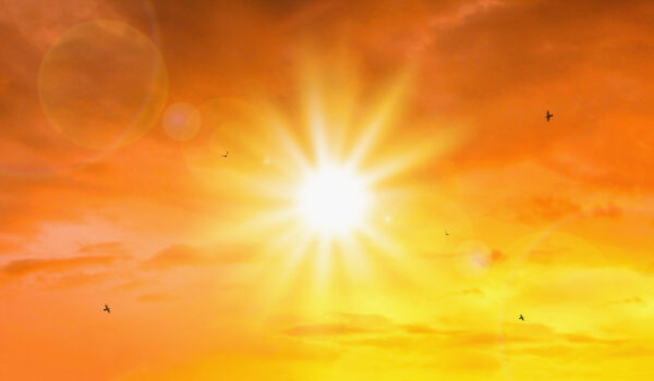 Sunshine Photo Dreamstime