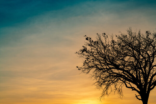 Photo 140333800 | Grief © Artinun Prekmoung | Dreamstime.com