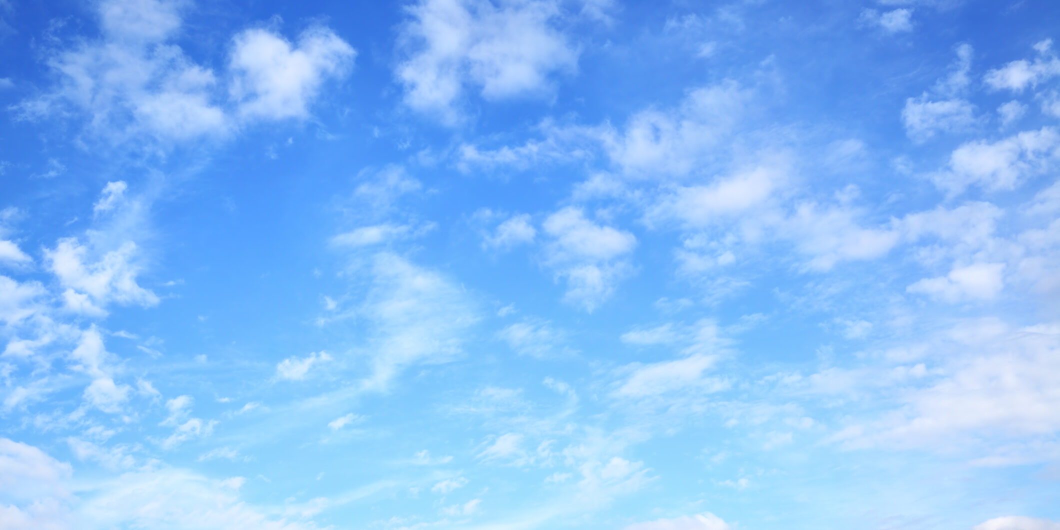 dreamstime_m_92316401