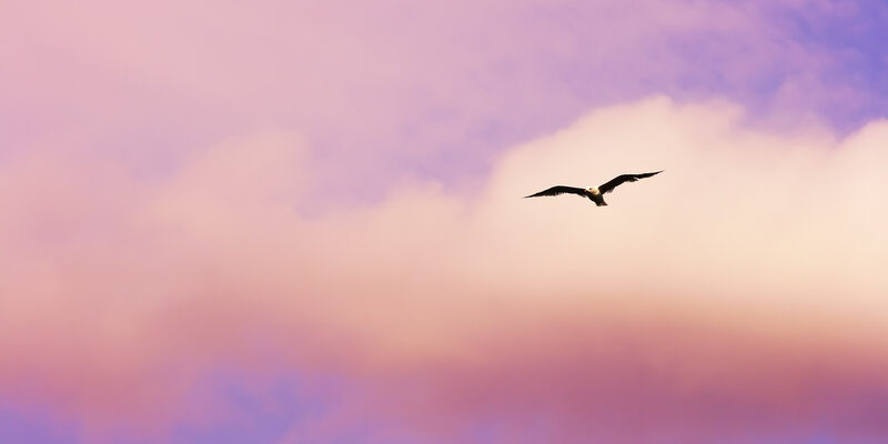 dreamstime_s_3531893