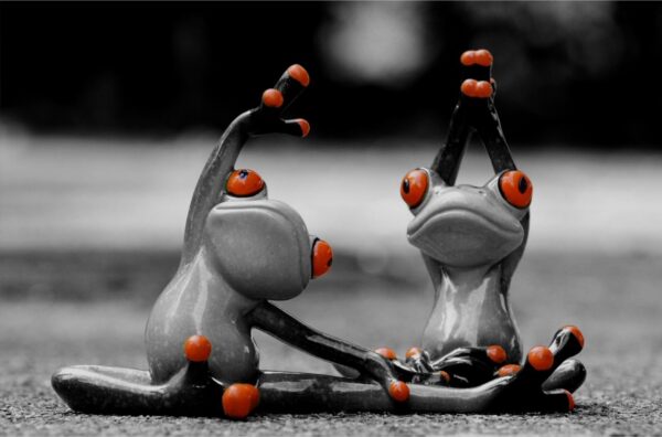 Frog Yoga PixabayJPG