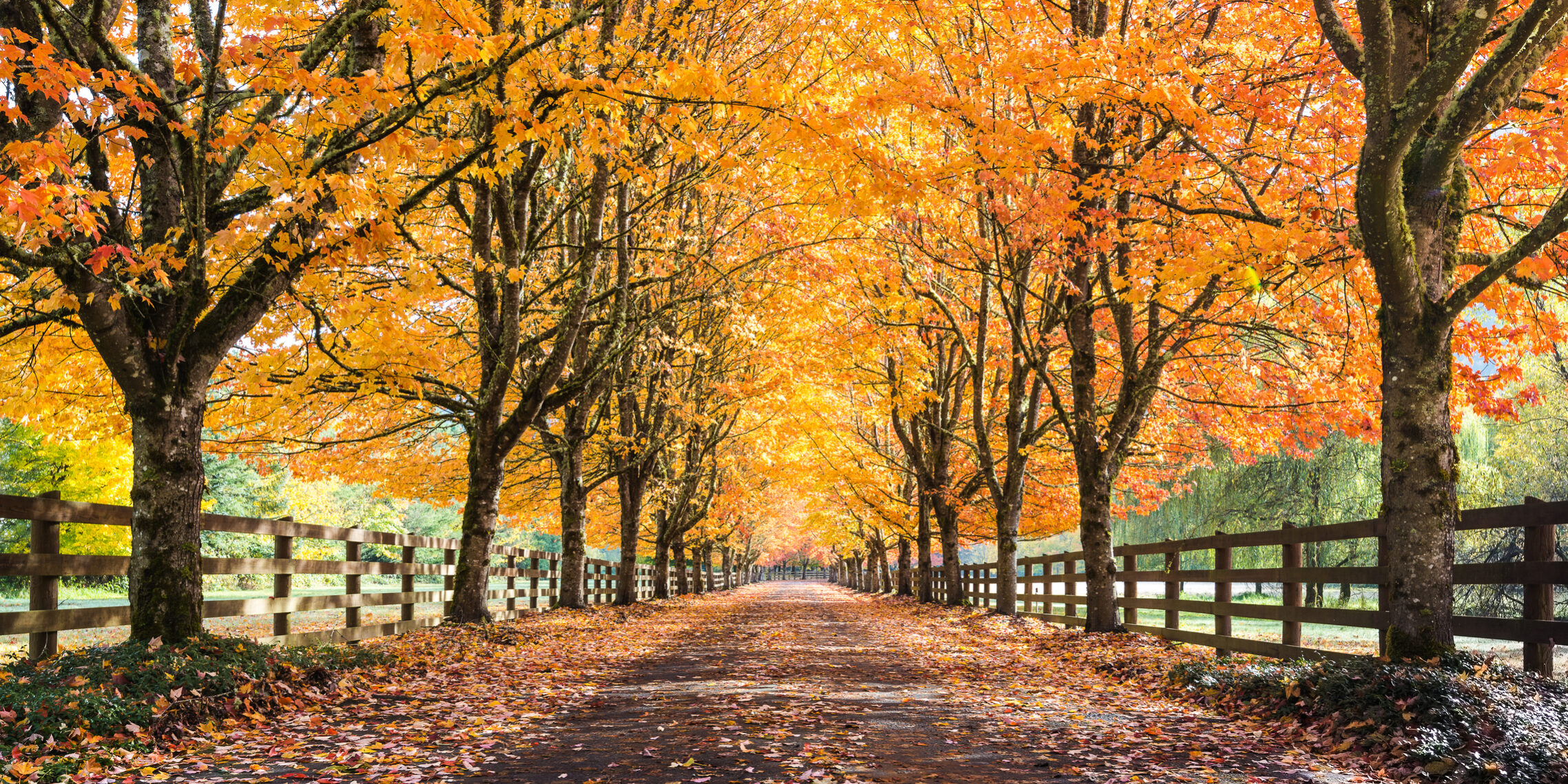 ID 103733365 Abhay0110 | Dreamstime.com