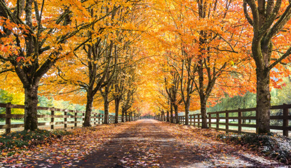 ID 103733365 Abhay0110 | Dreamstime.com