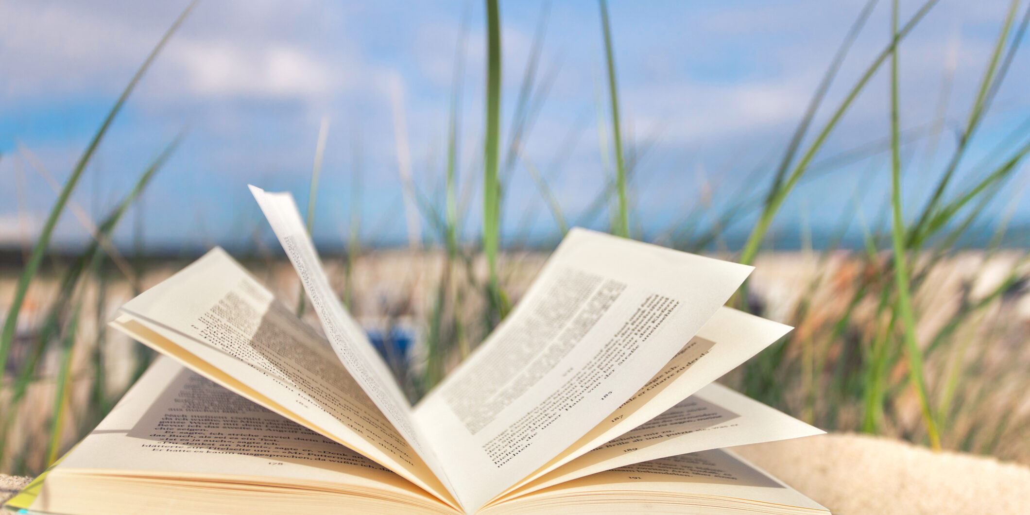 ID 42380713 | Beach Read Peppi18 | Dreamstime.com